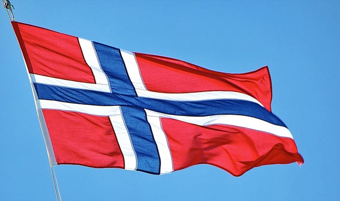 Dünyanın önde gelen devlet varlık fonlarından Norveç Varlık Fonu, yılın