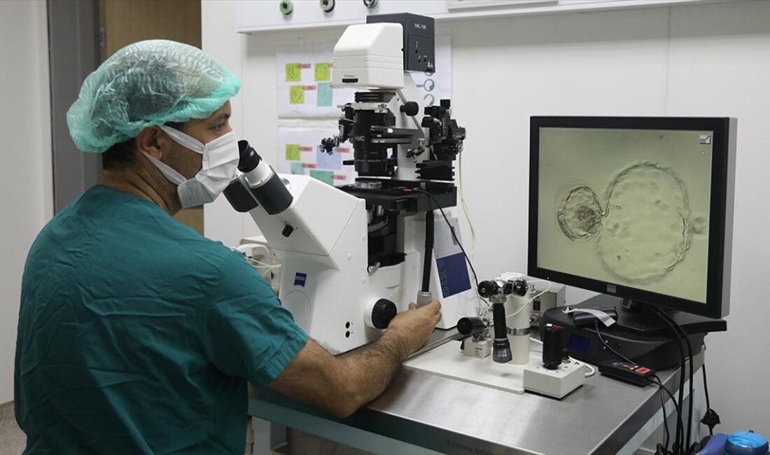 Ondokuz Mayıs Üniversitesi (OMÜ) Tıp Fakültesi Kadın Doğum Bölümü Tüp
