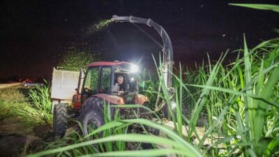 Sakarya'da silaj maliyetinin yarı yarıya düşürülerek hayvancılığın cazip hale getirilmesi