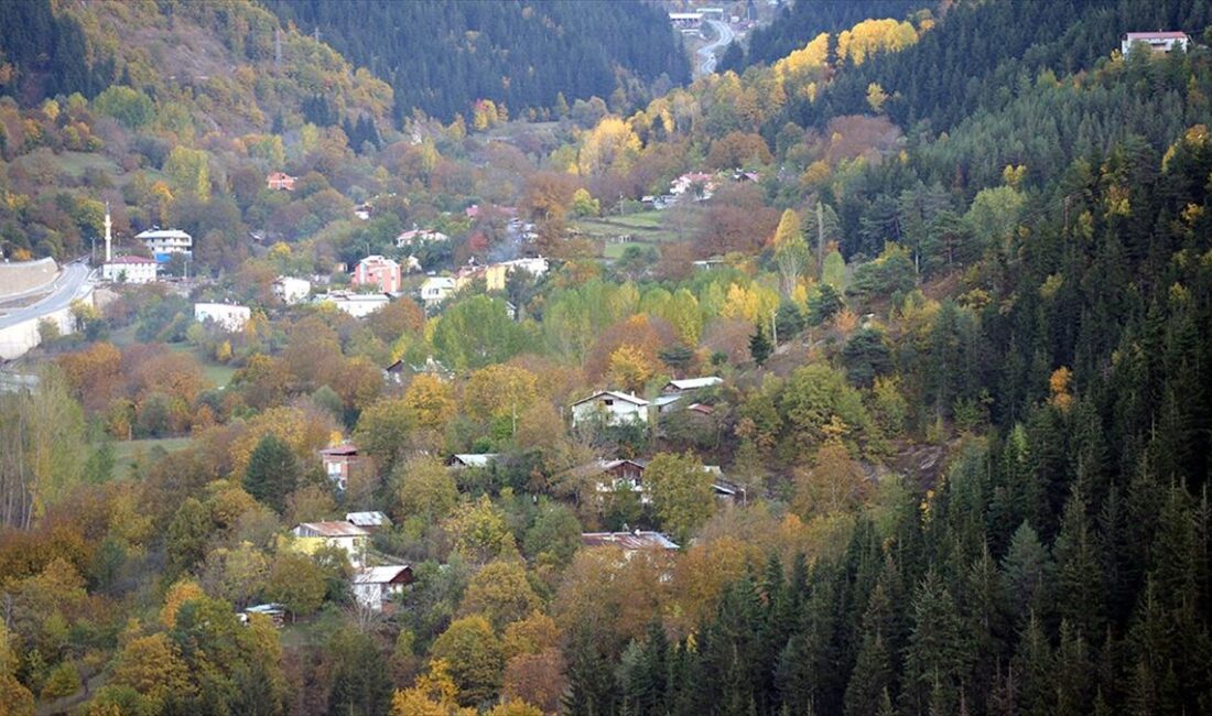 Artvin'in Şavşat ilçesi sonbahar renklerine büründü.
