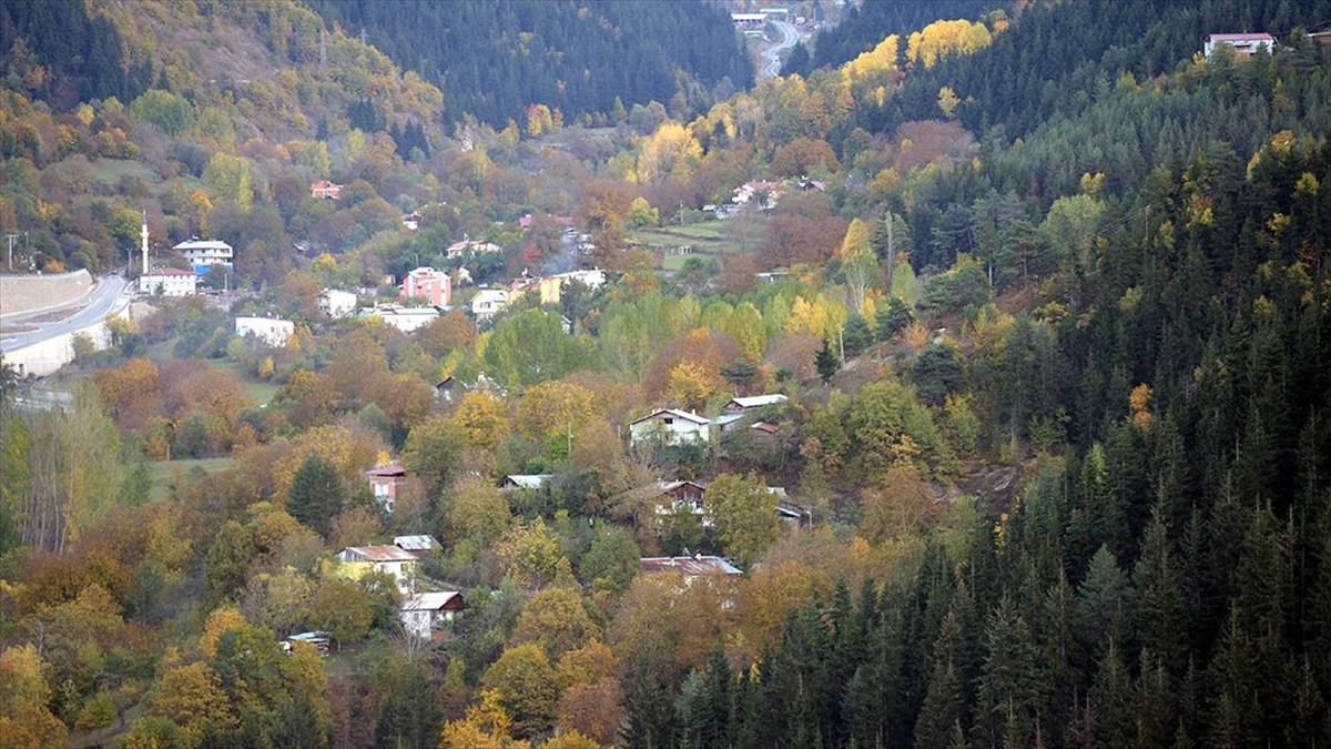 Artvin'in Şavşat ilçesi sonbahar renklerine büründü.