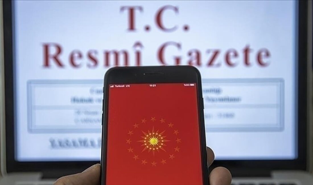 "Sigorta ve Reasürans ile Emeklilik Şirketlerinin Finansal Tablolarının Sunumu Hakkında
