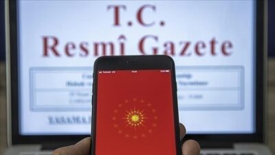 "Sigorta ve Reasürans ile Emeklilik Şirketlerinin Finansal Tablolarının Sunumu Hakkında