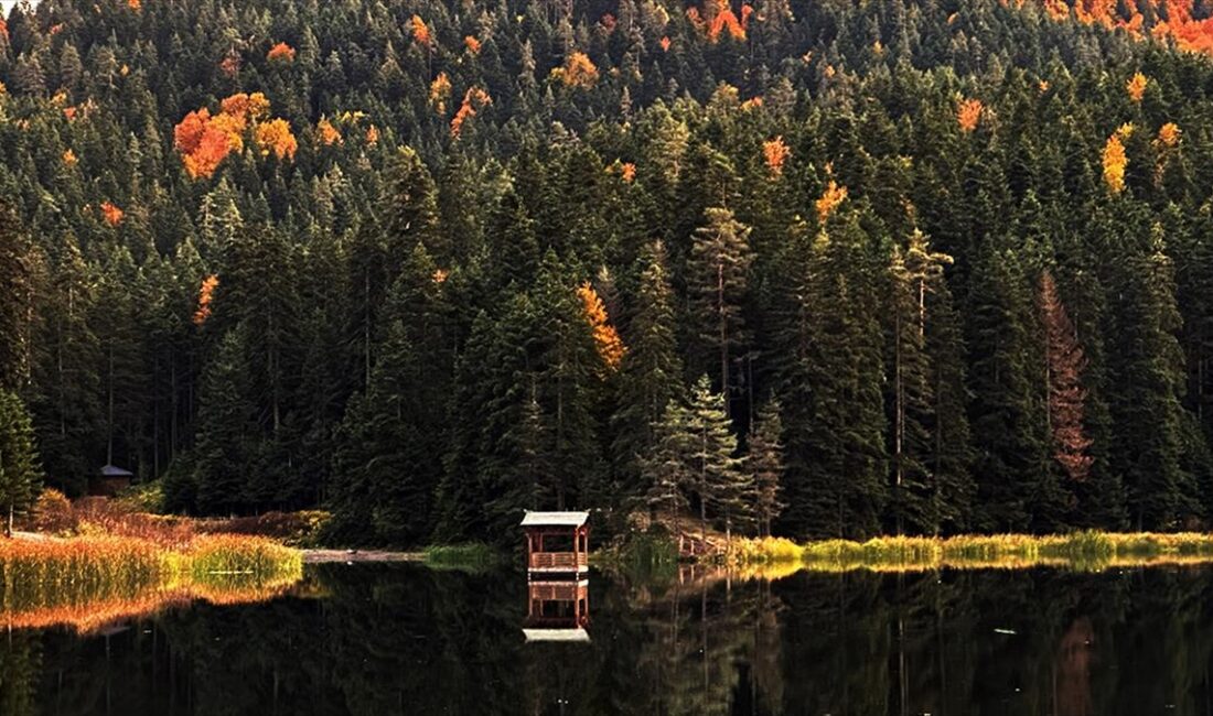 Sinop'un Ayancık ilçesinde bulunan Akgöl Tabiat Parkı, sonbaharın güzelliğini ziyaretçilerin