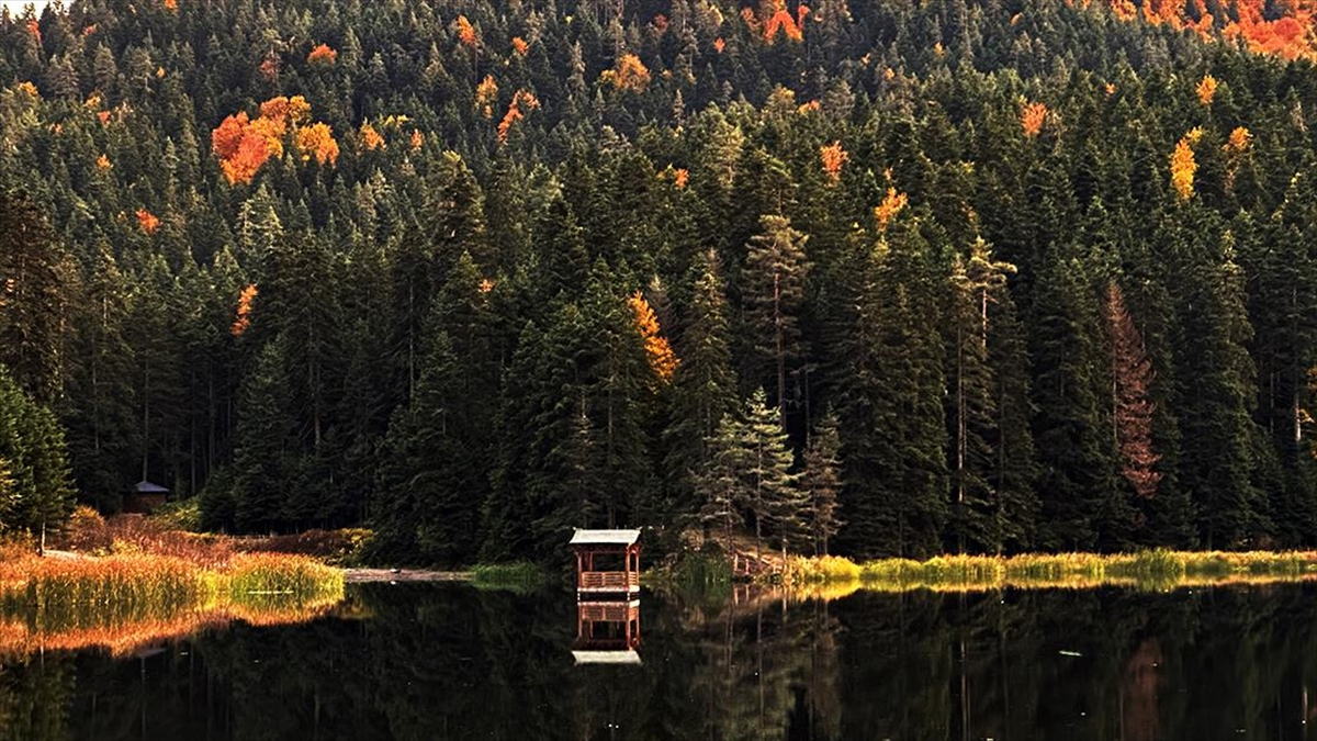 Sinop'un Ayancık ilçesinde bulunan Akgöl Tabiat Parkı, sonbaharın güzelliğini ziyaretçilerin