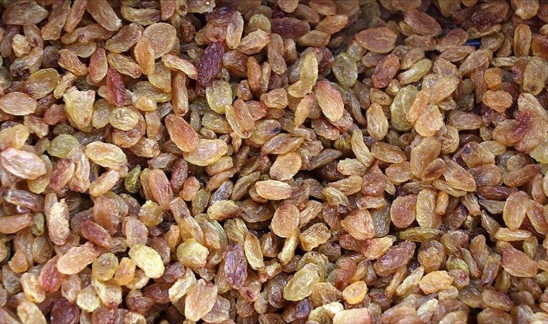 TARİŞ Üzüm Birliği Yönetim Kurulu Başkanı Ali Rıza Türker, çekirdeksiz