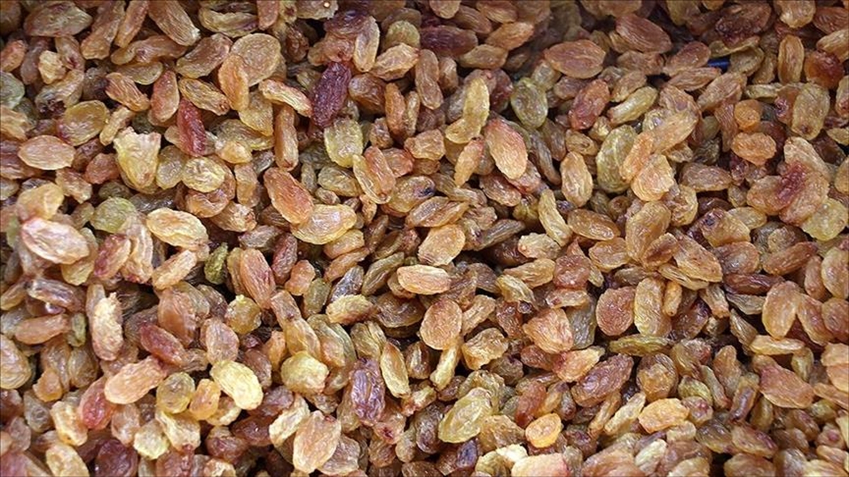 TARİŞ Üzüm Birliği Yönetim Kurulu Başkanı Ali Rıza Türker, çekirdeksiz