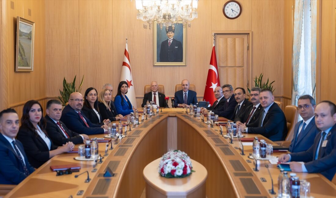 TBMM Başkanı Numan Kurtulmuş, "Her platformda, her yerde, her zaman
