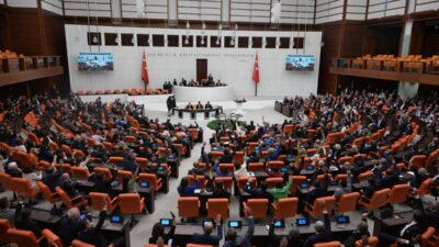 Yeşil Sol Parti Grup Başkanvekili Meral Danış Beştaş ve Van