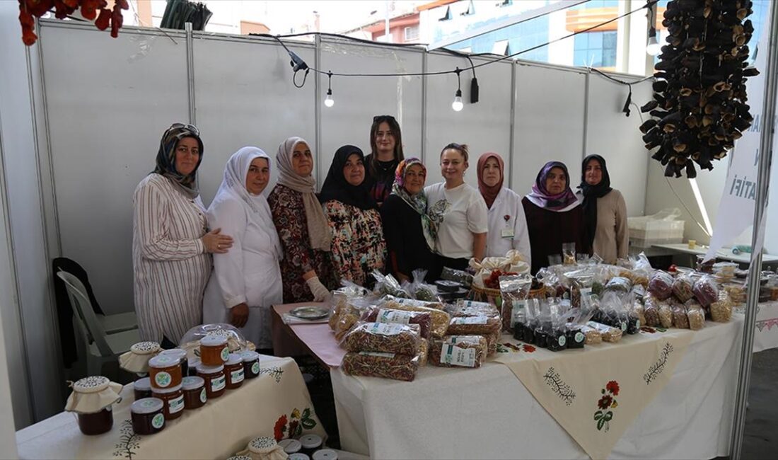 Tokat'ta İl Özel İdaresinin girişimiyle 17 kadın kooperatifi, "Tokat Kadın
