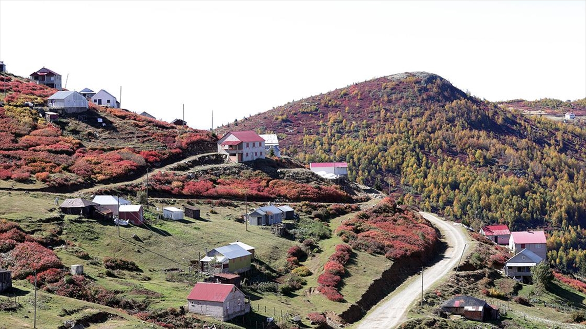 Trabzon ve Giresun sınırında yer alan 2 bin 182 rakımlı