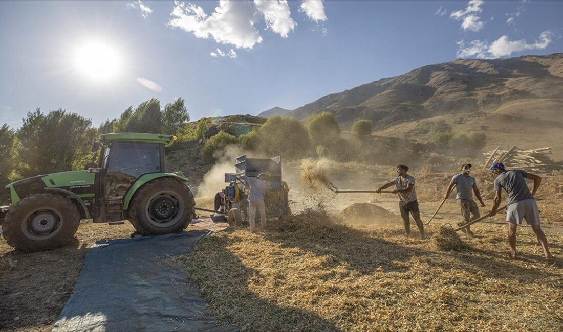 Tunceli'nin Ovacık ilçesindeki köylerde 205 çiftçi, 3 bin 671 dekarda
