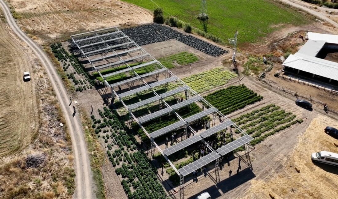 Kurulu gücü 122 kilovat pik olan Ayaş Tarım GES'te yükseltilmiş