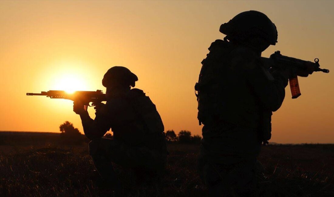 Şanlıurfa'nın Ceylanpınar ilçesinde, Suriye'den yurda girmeye çalışan terör örgütü PKK/PYD