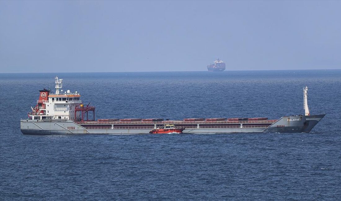 Polonya, Ukrayna ve Litvanya tarım bakanları, ürün denetimlerinin Polonya sınırından