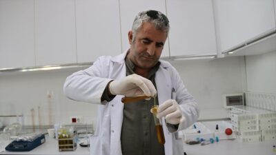 Ağrı Dağı eteklerinde yetişen bitkilerin temizlik ürünlerine dönüştürüldüğü Iğdır Üniversitesinde,
