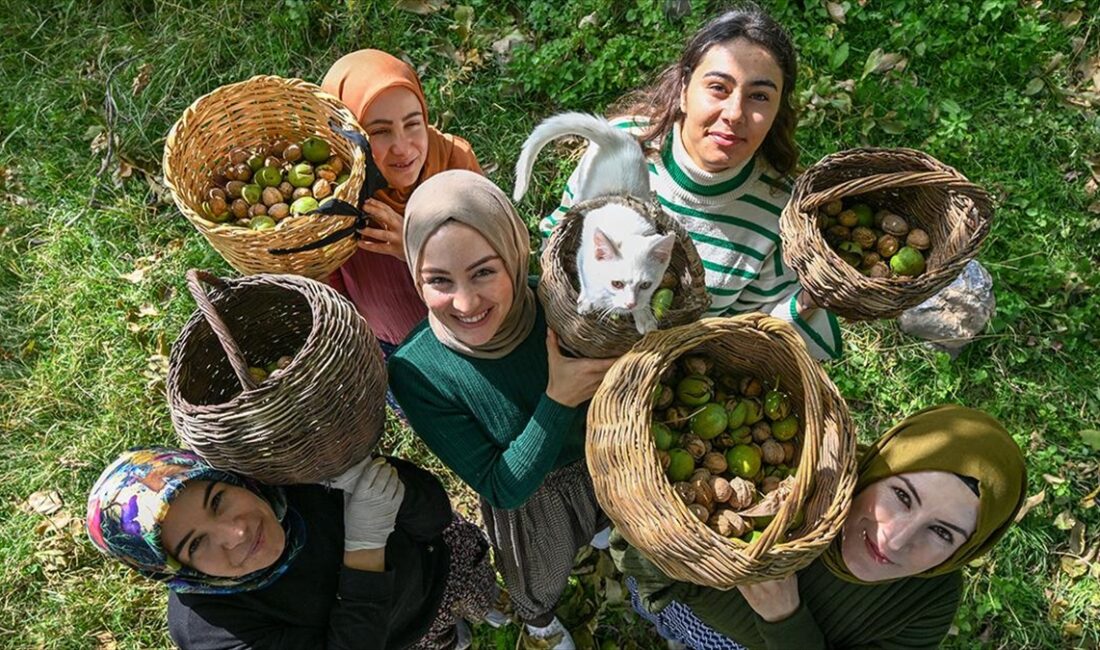 Van'ın Gevaş ilçesinde kurdukları Ahtamara Tarımsal Kalkınma Kadın Kooperatifi çatısı