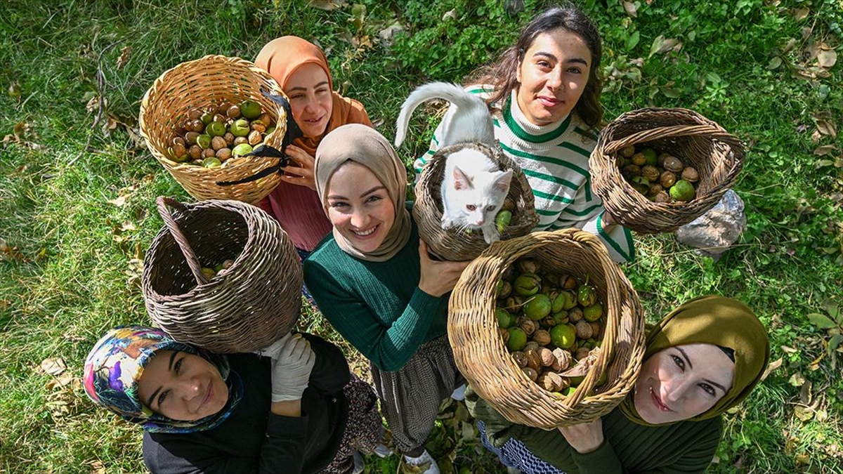 Van'ın Gevaş ilçesinde kurdukları Ahtamara Tarımsal Kalkınma Kadın Kooperatifi çatısı
