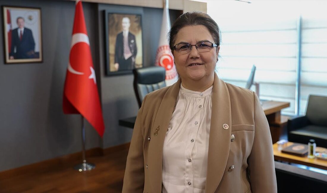 TBMM İnsan Haklarını İnceleme Komisyonu Başkanı ve AK Parti Osmaniye