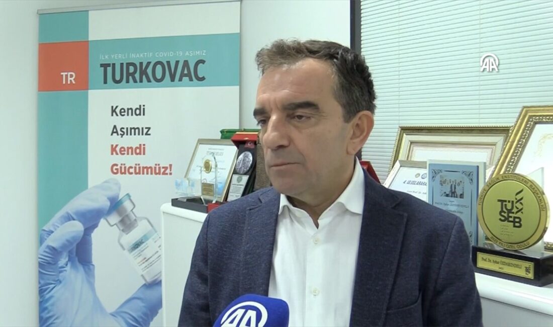 Kırım Kongo Kanamalı Ateşi hastalığına karşı geliştirilen, cansız virüs veya