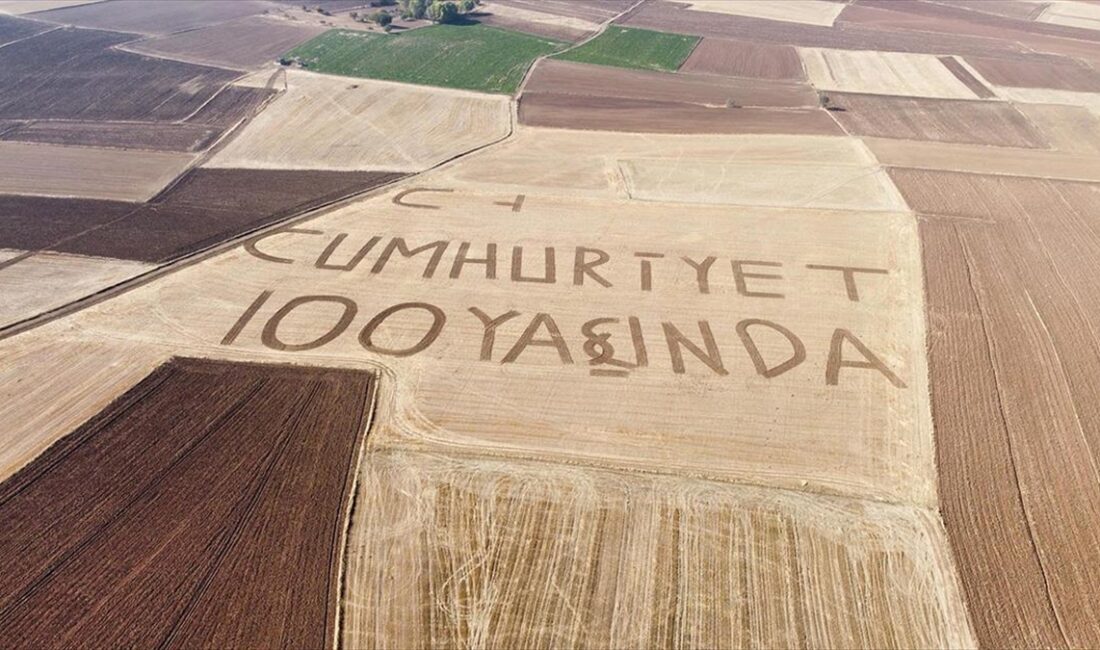 Yozgat'ın Sorgun ilçesinde bir çiftçi, 72 dekarlık tarlasına "Cumhuriyet 100