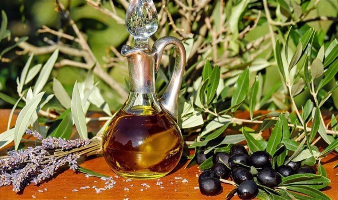  Ulusal Zeytin ve Zeytinyağı Konseyi Başkanı Mustafa Tan, Türkiye'nin