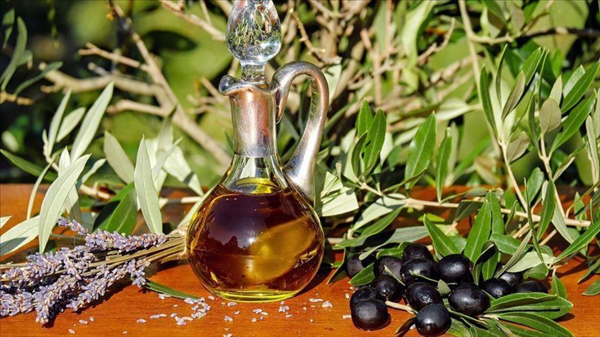  Ulusal Zeytin ve Zeytinyağı Konseyi Başkanı Mustafa Tan, Türkiye'nin