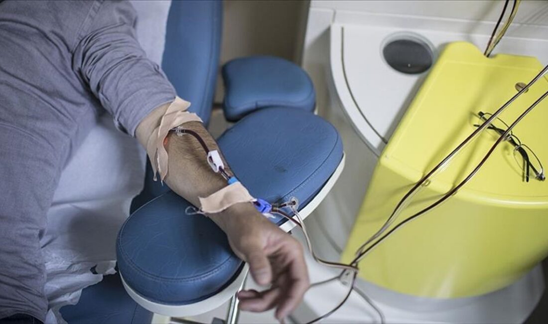 Türk Böbrek Vakfı Başkanı Timur Erk, 23 bin böbrek hastasının