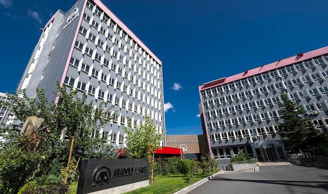 Anadolu Ajansını (AA), konu edinen yüksek lisans ve doktora tez