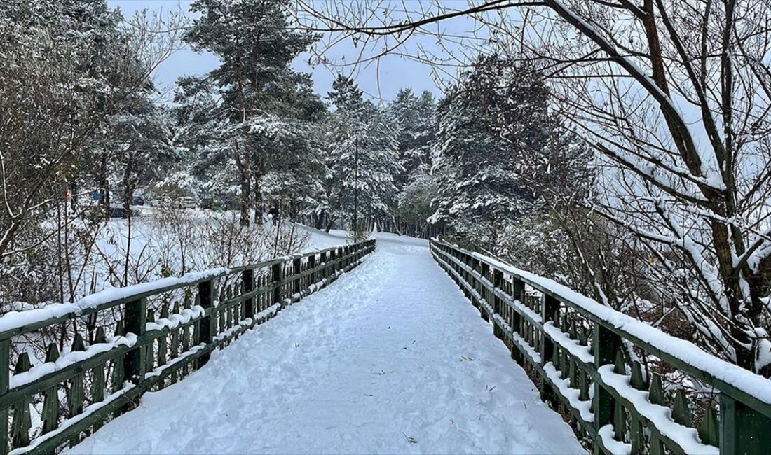 Doğal güzellikleriyle ünlü Abant Gölü Milli Parkı'nda yoğun yağışın ardından
