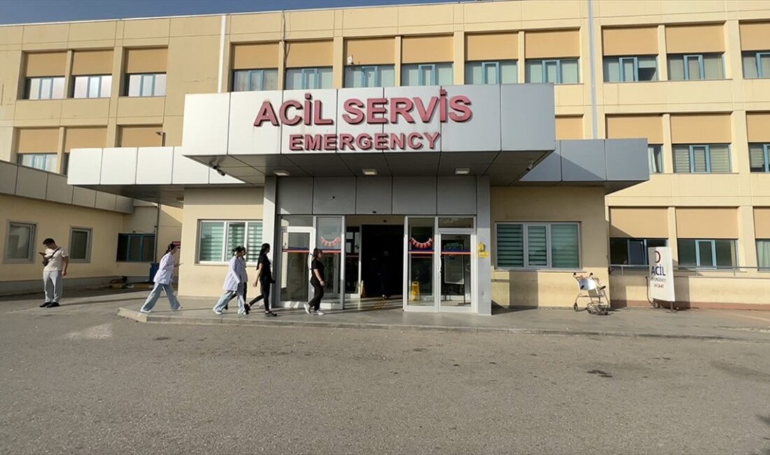 Doç. Dr. Korkut, acil servislere başvuru nedenlerinin haftanın günlerine göre