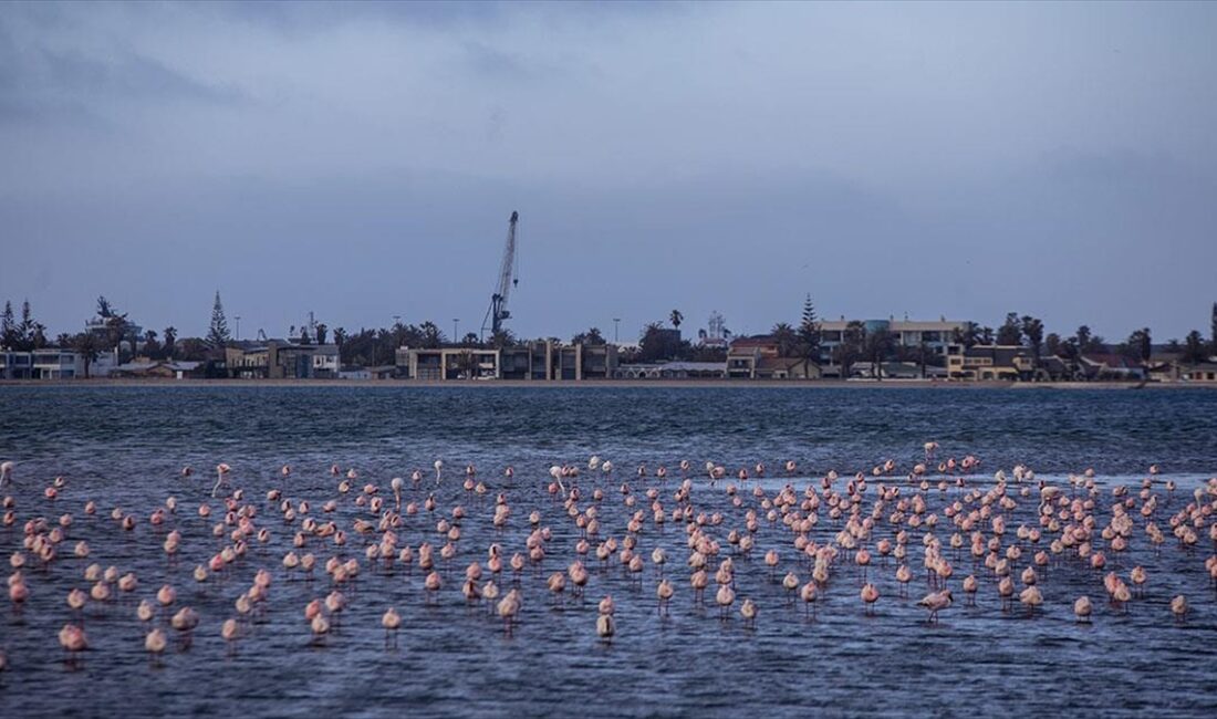 WALVIS BAY (AA) – Namib Çölü’nün Atlas Okyanusu’na açıldığı uçsuz