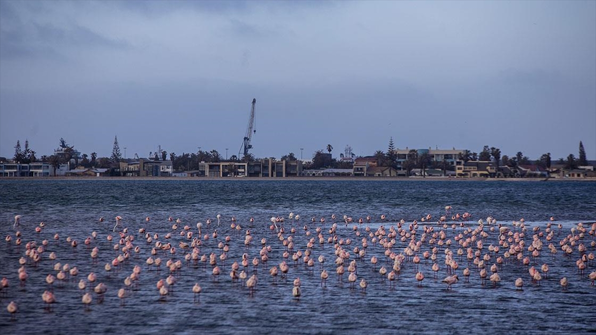 WALVIS BAY (AA) – Namib Çölü’nün Atlas Okyanusu’na açıldığı uçsuz