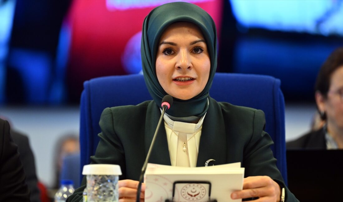 Aile ve Sosyal Hizmetler Bakanı Göktaş, "Kadına yönelik şiddet konusu