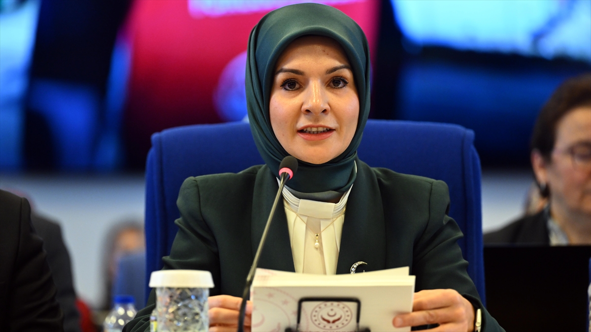 Aile ve Sosyal Hizmetler Bakanı Göktaş, "Kadına yönelik şiddet konusu