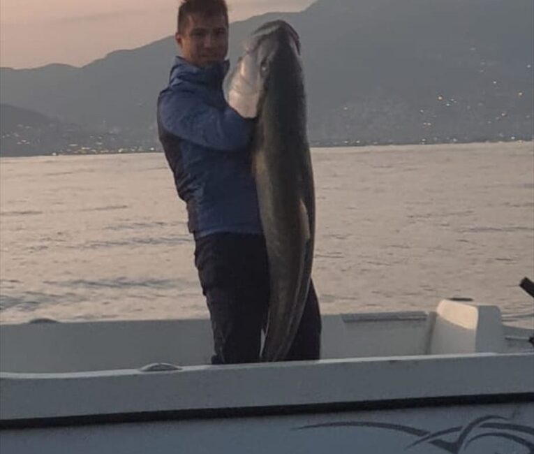 ANTALYA (AA) – Antalya'nın Alanya ilçesinde avlanan amatör bir balıkçının