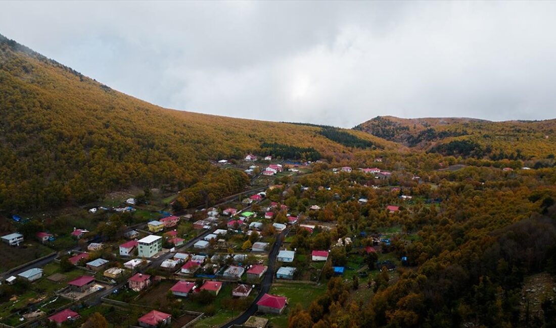 Amanos Dağları'nın 1400 rakımdaki Çardak Yaylası'nda sonbahar renkleri dronla görüntülendi.