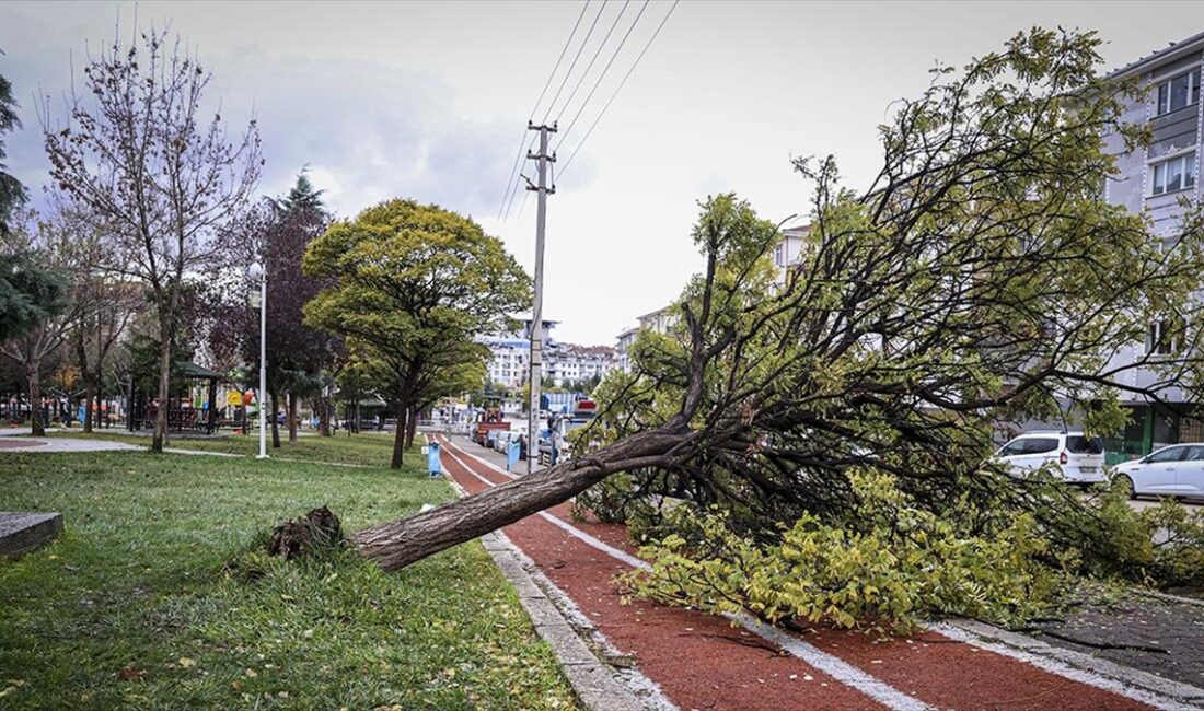 Ankara'da şiddetli rüzgar hayatı olumsuz etkiledi Kentin bazı noktalarında ağaçlar devrildi, bir apartmanın dış cephesindeki metal