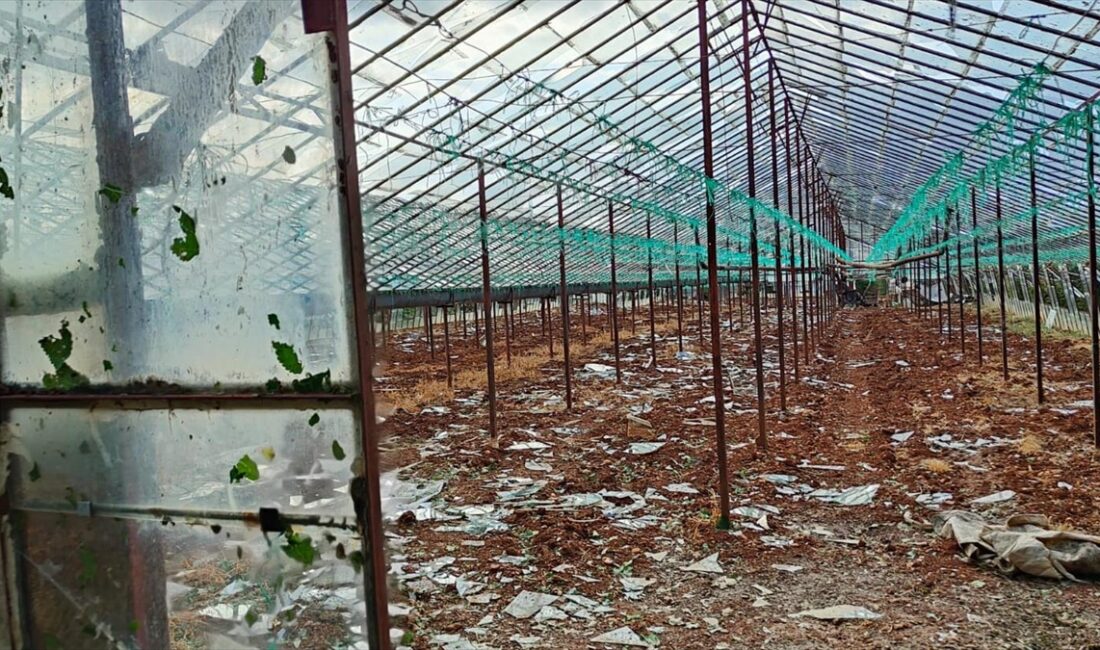 Antalya'nın Serik ilçesinde etkili olan dolu nedeniyle cam sera ve