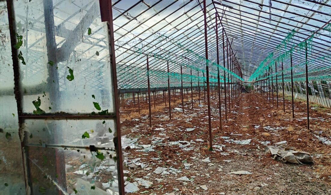 ANTALYA (AA) – Antalya'nın Serik ilçesinde etkili olan dolu nedeniyle