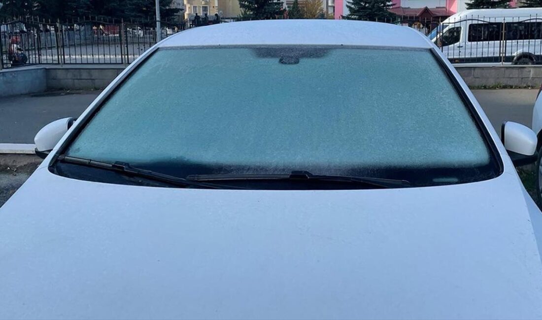 Bazı vatandaşlar soğuktan korumak için araçlarının üzerine battaniye örttü.