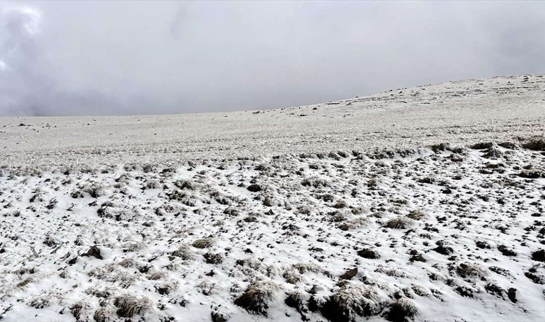 Ardahan'ın yüksek rakımlı bölgelerine kar yağdı.