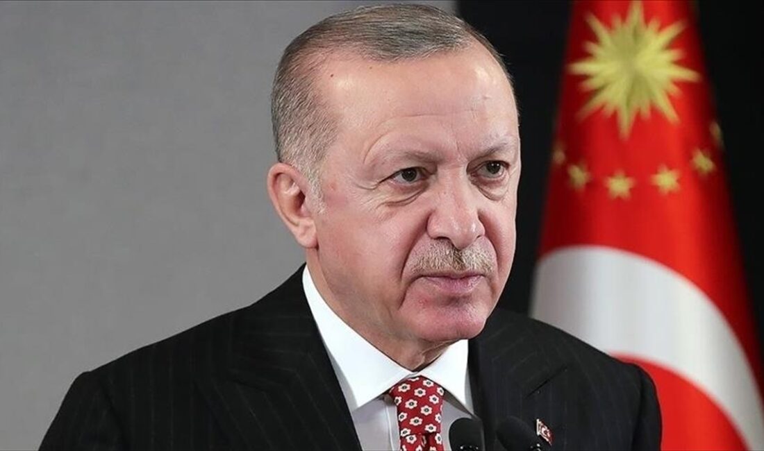 Avrupa Parlamentosunun (AP) Alman üyesi Maximilian Krah, Cumhurbaşkanı Recep Tayyip