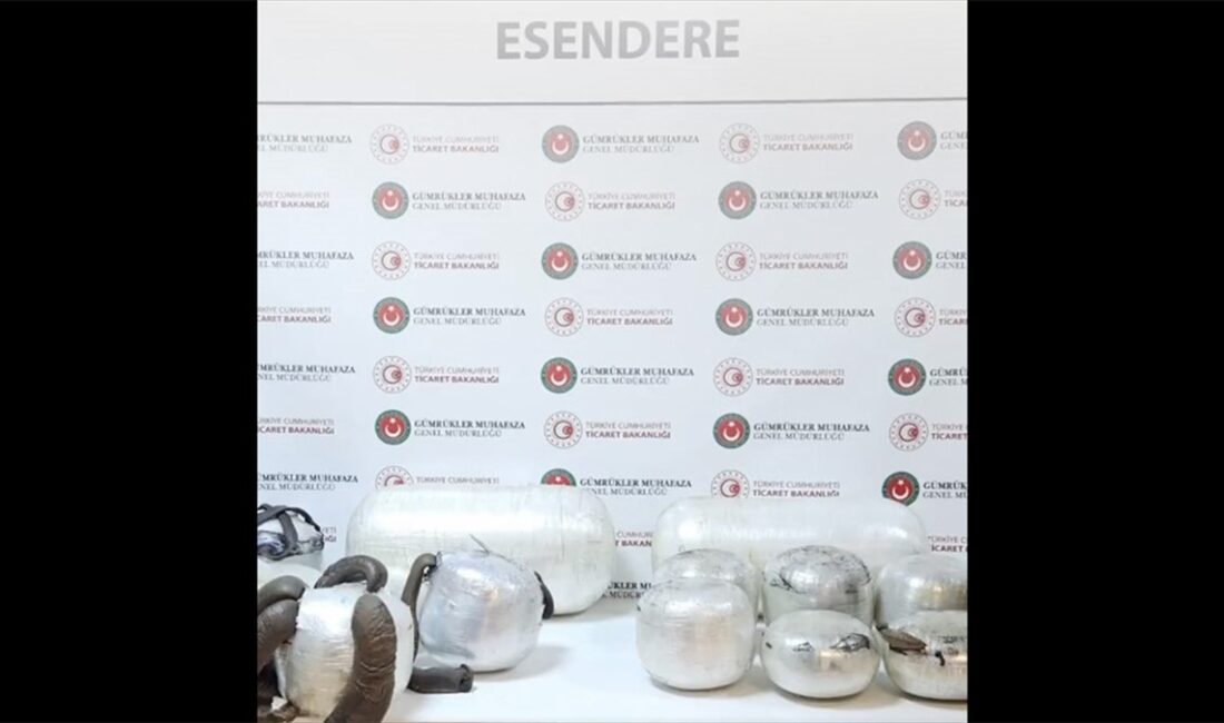 Ticaret Bakanı Ömer Bolat, Hakkari Esendere Gümrük Kapısı'ndaki iki araçta