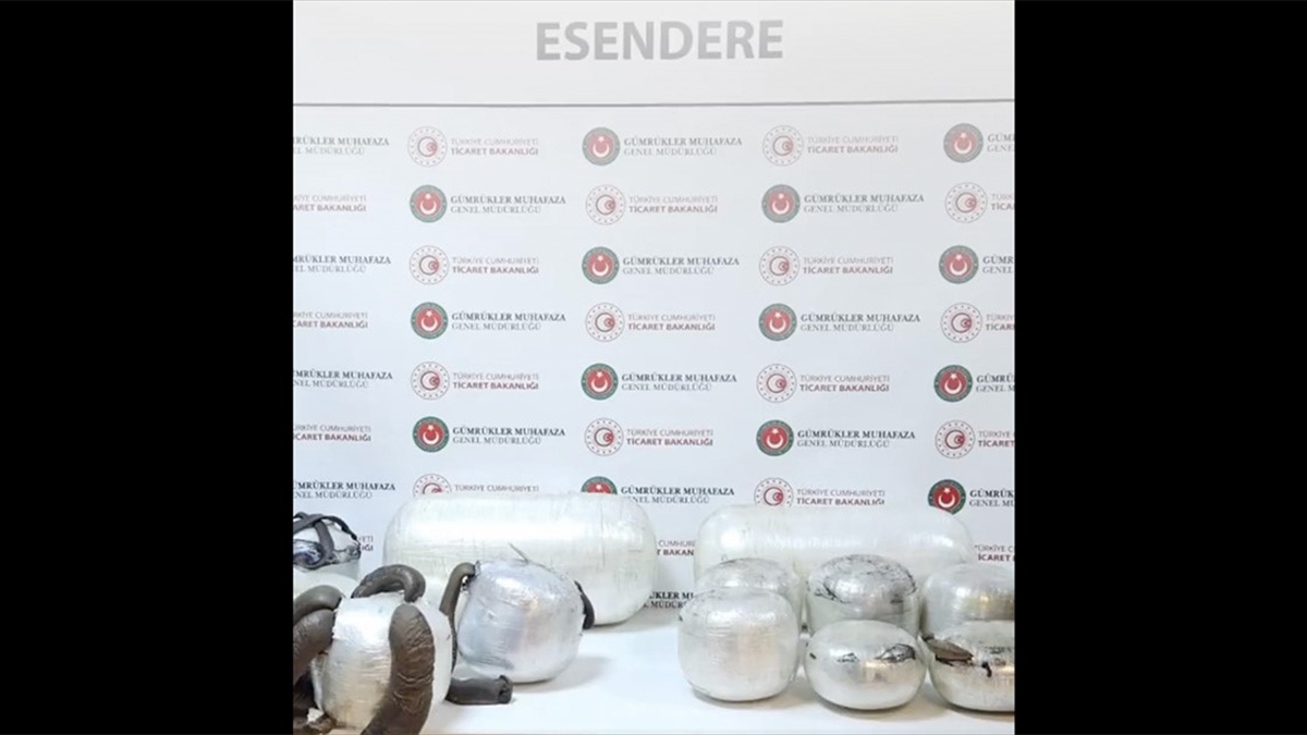 Ticaret Bakanı Ömer Bolat, Hakkari Esendere Gümrük Kapısı'ndaki iki araçta