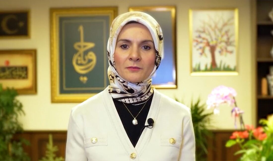 Aile ve Sosyal Hizmetler Bakanı Mahinur Özdemir Göktaş, "Nedeni, bahanesi,