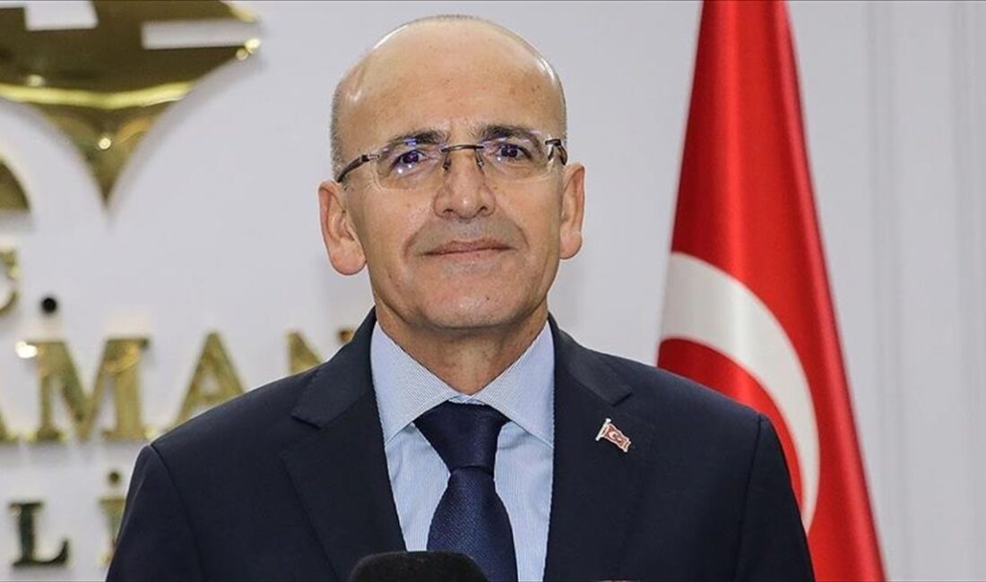 Hazine ve Maliye Bakanı Mehmet Şimşek, Türkiye'nin 2023 Uluslararası Vergi