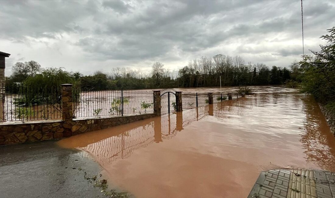 Bartın'da kent merkezinden geçerek Karadeniz'e dökülen Bartın Irmağı'nın bazı noktalarında