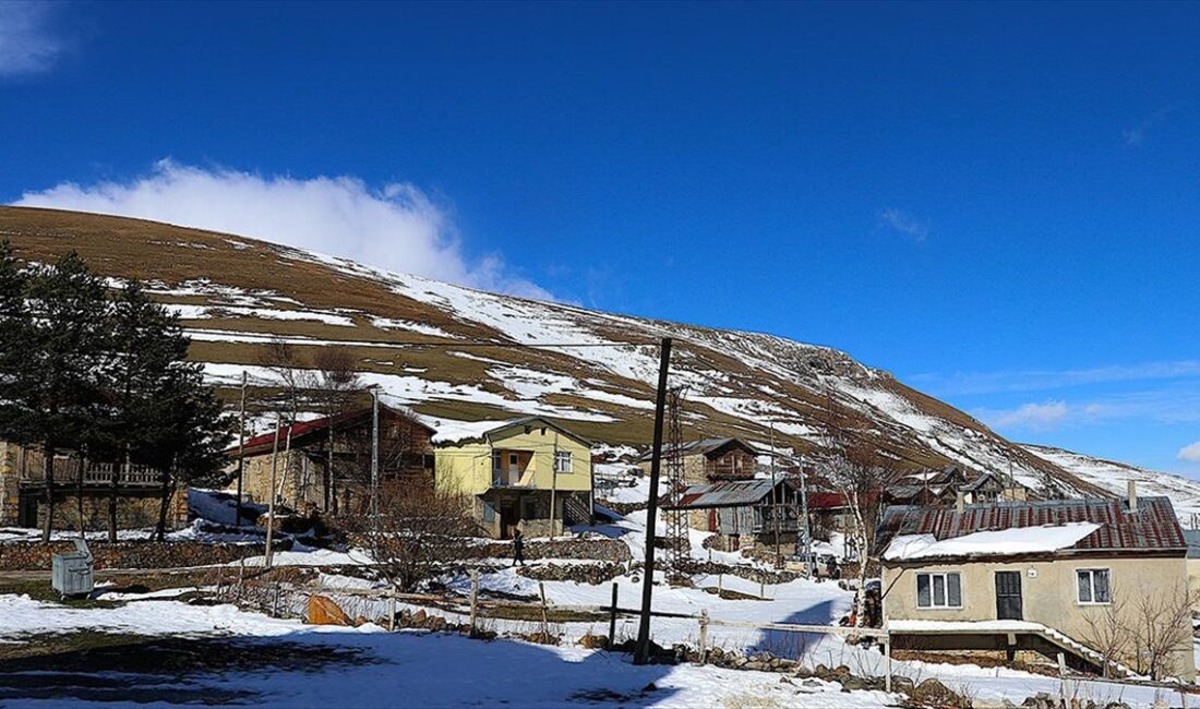 BAYBURT (AA) – Soğanlı Dağları zirvesindeki Aydıntepe ilçesinin Dumlu, Kavlatan