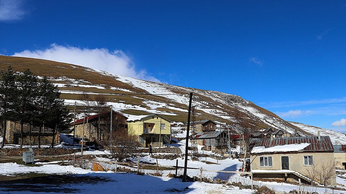 BAYBURT (AA) – Soğanlı Dağları zirvesindeki Aydıntepe ilçesinin Dumlu, Kavlatan